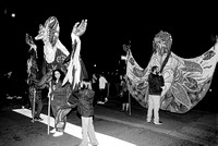 Dec31-24_HP5-1600-7928