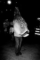 Dec31-24_HP5-1600-7940